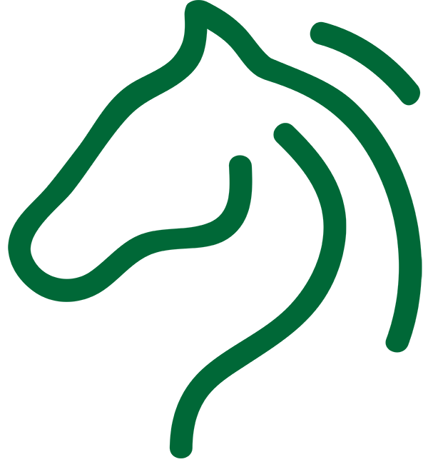 Equi Competition